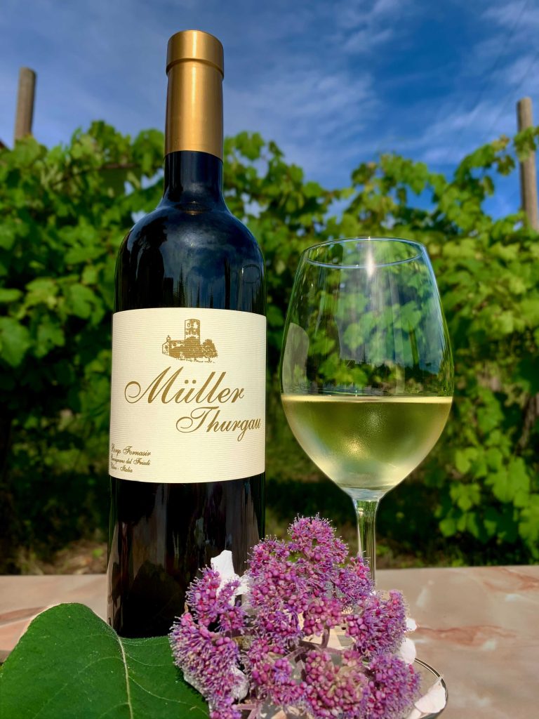 Müller thurgau - Speziato