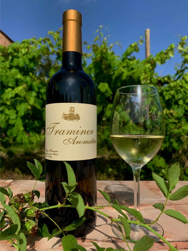 Traminer aromatico - Floreale, rosa canina